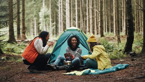 420 Friendly Camping Locations in Massachusetts