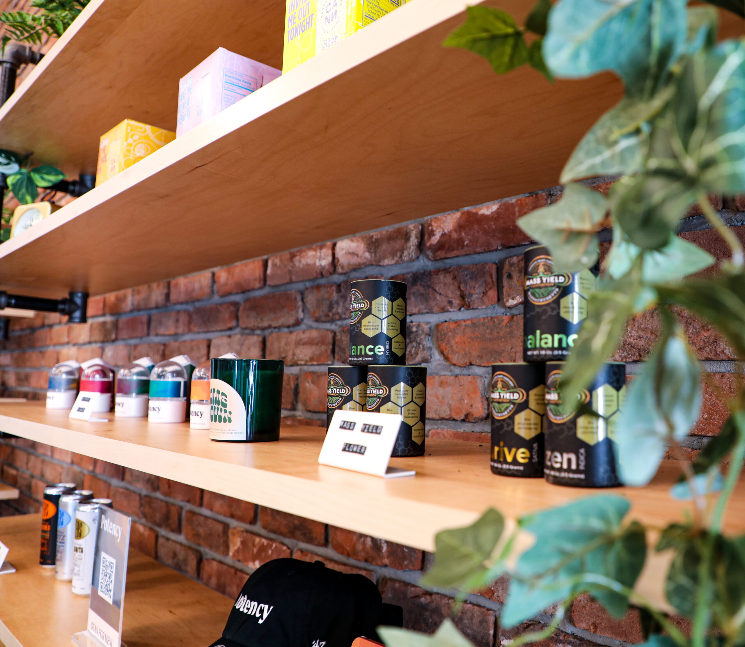 Product shelves at Potency dispensary in Pittsfield, MA — flower, edibles and concentrates displayed on wood shelving against exposed brick