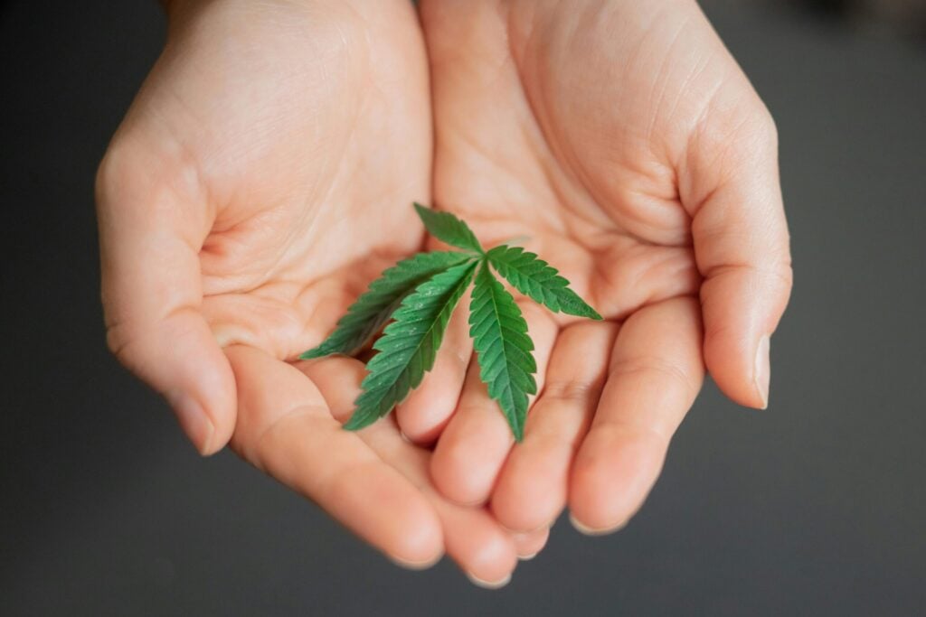 A close-up image of two open hands gently holding a small green cannabis leaf. The background is blurred and dark, drawing focus to the hands and the leaf, symbolizing care, nature, and wellness.