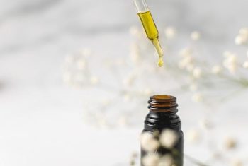 What Are the Terpenes Used for in CBD?